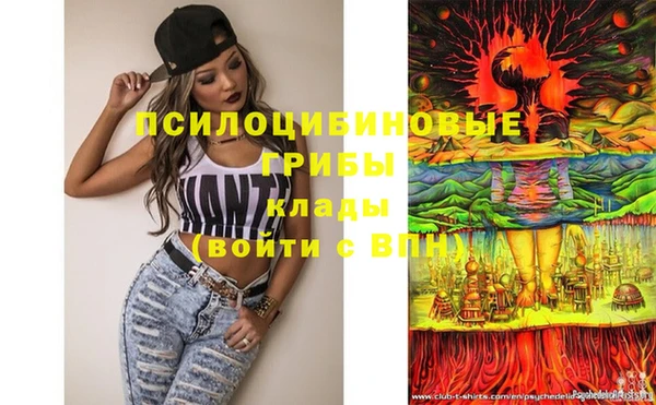 мдпв Белокуриха