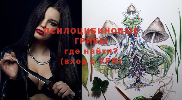 мдпв Белокуриха