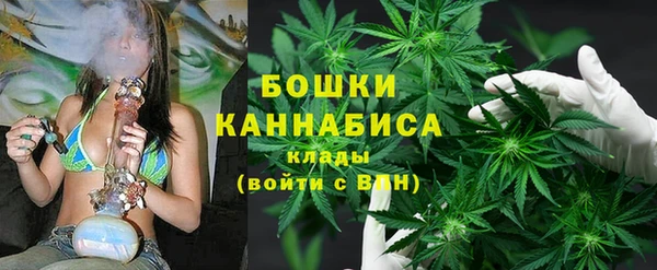 молекула духа Белоозёрский