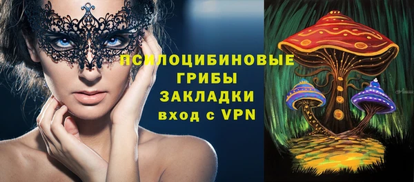 молекула духа Белоозёрский