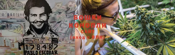 молекула духа Белоозёрский