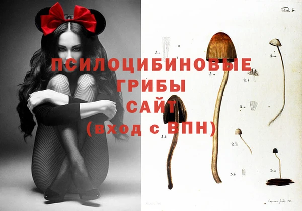 молекула духа Белоозёрский