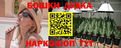 эйфоретик Гатчина