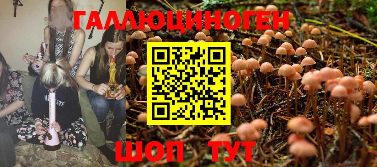 Псилоцибиновые грибы Magic Shrooms  купить наркотик  Гатчина 