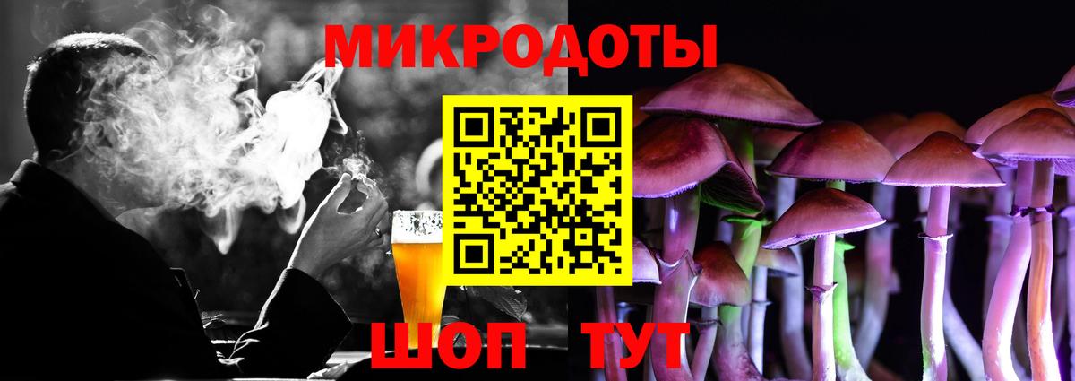 Псилоцибиновые грибы Psilocybe  Вход с VPN  Гатчина 